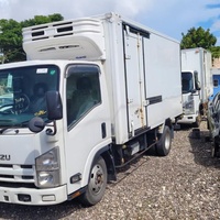 2007 Isuzu Freezer Body Truck 2007 Isuzu Freezer Body Truck