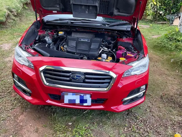 Subaru Levorg 2,0L 2015, Saint Catherine - 7