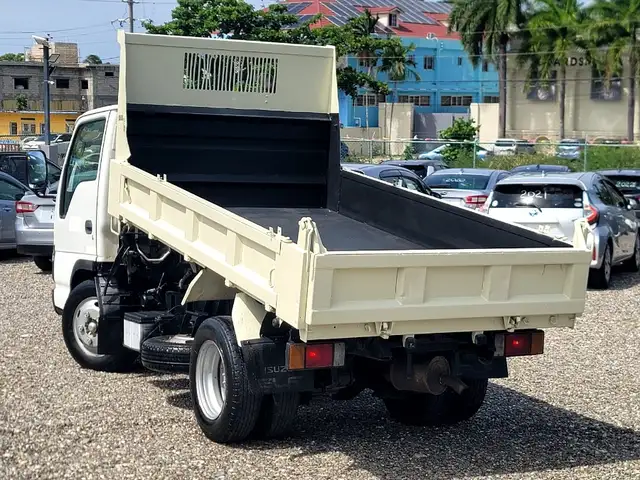 Isuzu Elf Truck 4,8L 2006, Saint Mary - 2