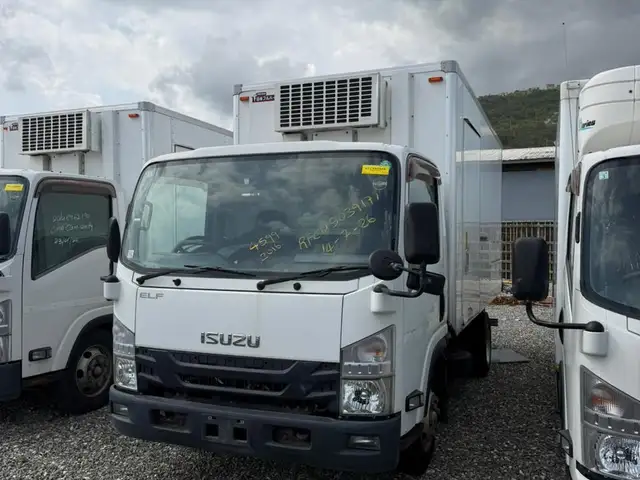 2019 Isuzu Elf, Kingston