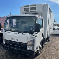 2015 Isuzu Elf Freezer 2015 Isuzu Elf Freezer