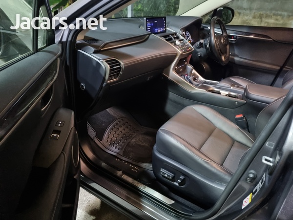 Lexus NX 2,5L 2018-10
