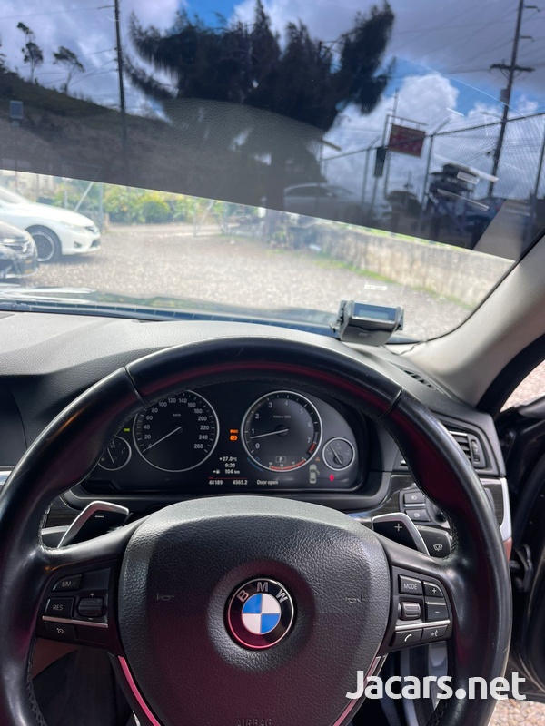 BMW 5-Series 2,0L 2012-7
