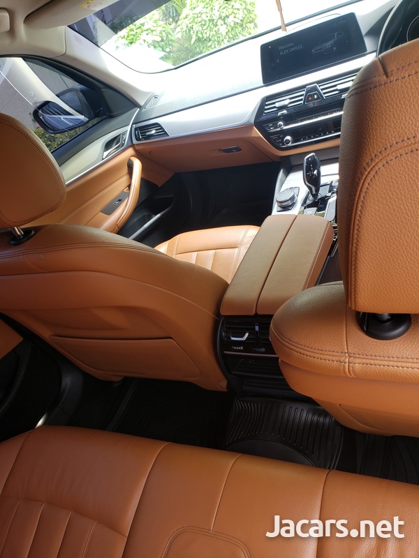 BMW 5-Series 2,0L 2017-4