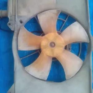 Probox Radiator, Trelawny