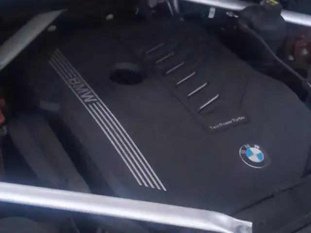 BMW X6 3,0L 2021, Saint Andrew - 7