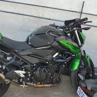2019 KAWASAKI ER 400 GREEN 2019 KAWASAKI ER 400 GREEN