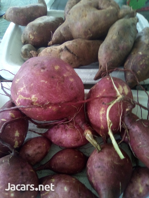 SWEET POTATO