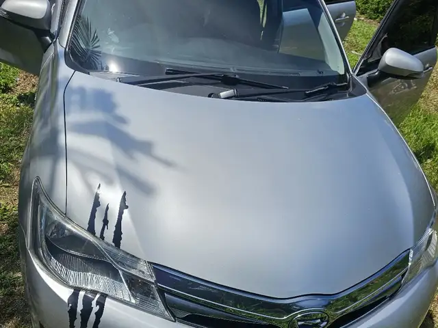 Toyota Fielder