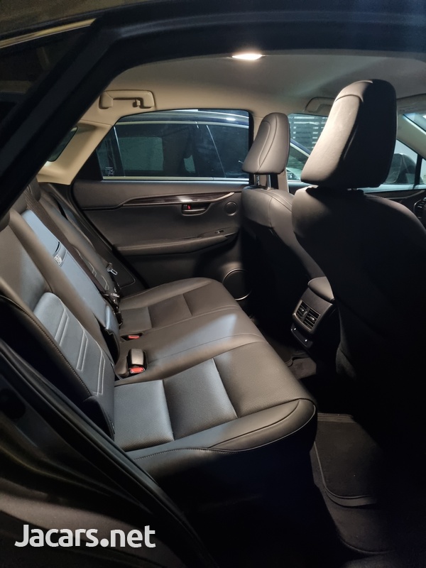 Lexus NX 2,5L 2018-6