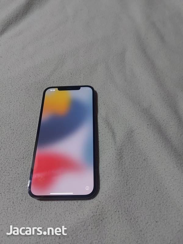Iphone 12 pro and 12 pro max-2