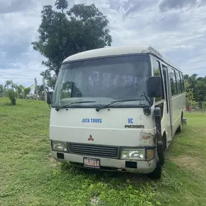 2004 Mitsubishi Rosa, Saint Elizabeth