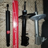 2001 - 2005 Toyota Rav4 Strut Set 2001 - 2005 Toyota Rav4 Strut Set