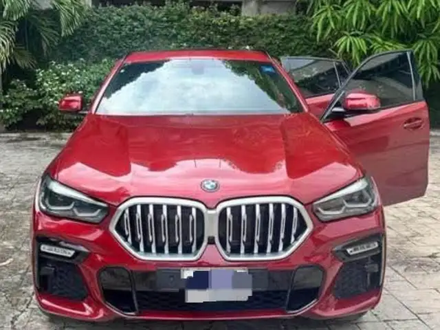 BMW X6