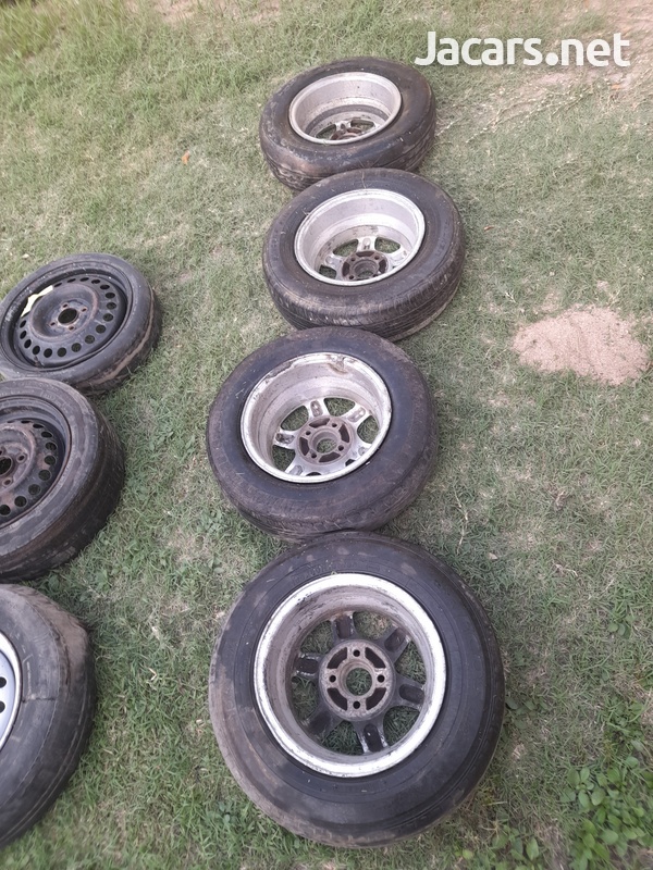 RIMs-3