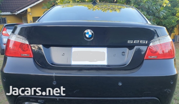 BMW 5-Series 2,5L 2010-8