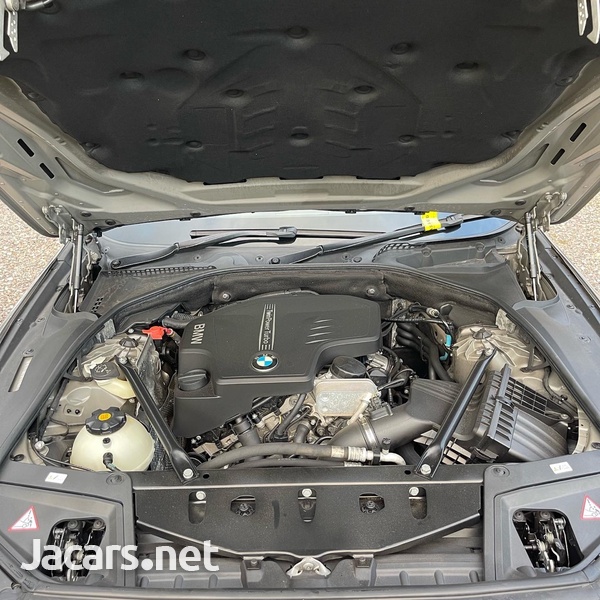 BMW 5-Series 2,0L 2012-10
