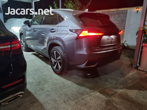 Lexus NX 2,5L 2018-1