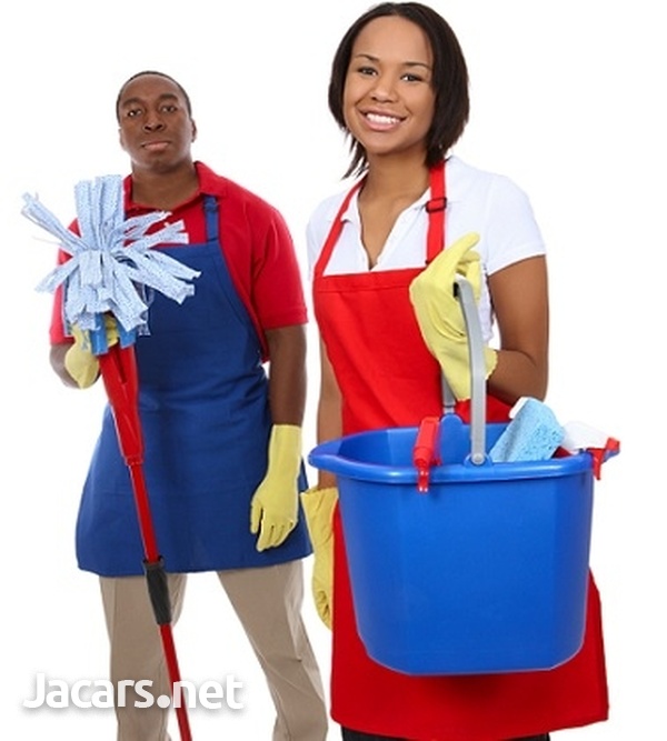 Cleaning Service-4