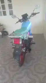 2021 Blue Zhujiang 200cc, Clarendon - 7