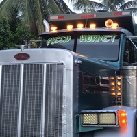 Peterbilt 379 Peterbilt 379