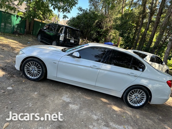 BMW 3-Series 2,0L 2013-6