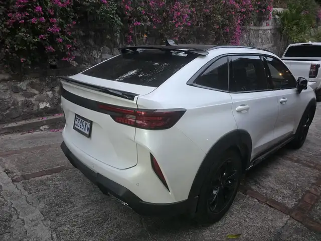 Haval H6 2,0L 2024, Kingston - 4