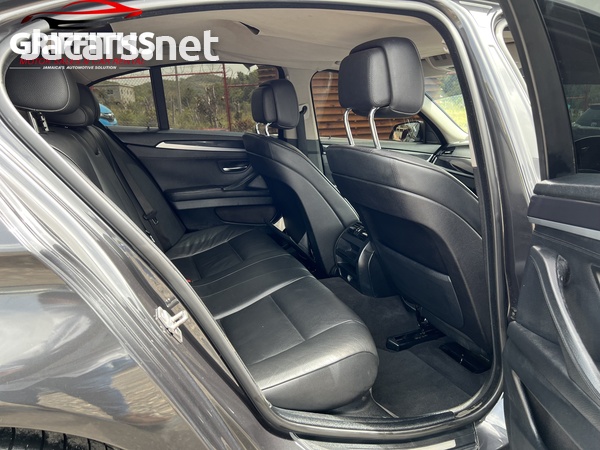 BMW 5-Series 2,0L 2012-8