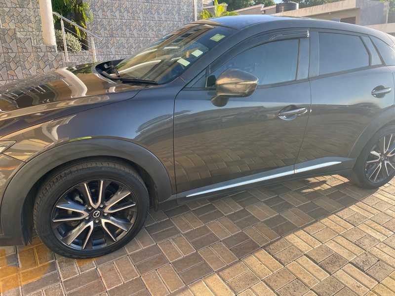 マツナガ M931MT . . ━━━━━━━━━━━━━━━━━━━ M931MT color