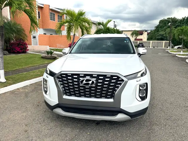 Hyundai Palisade 2,2L 2021, Kingston - 3