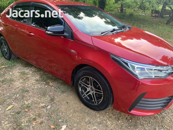 Toyota Corolla 1,6L 2019-8