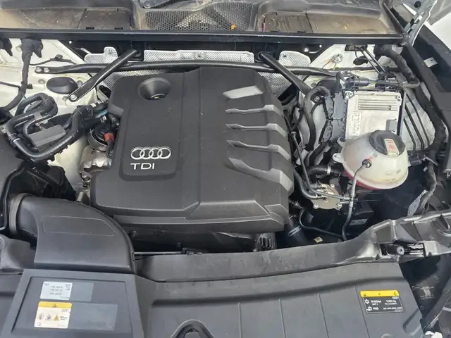 Audi Q5 2,0L 2023, Kingston - 5
