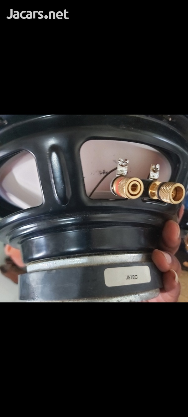 Bass speaker-2