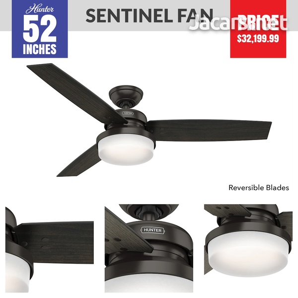 Hunter Ceiling Fans-3