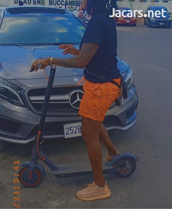 Electric Scooter-2