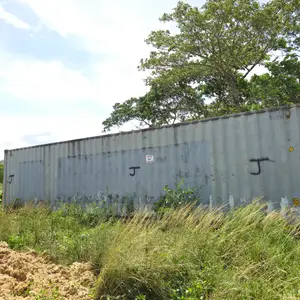 40ft Grey Container, Saint Catherine
