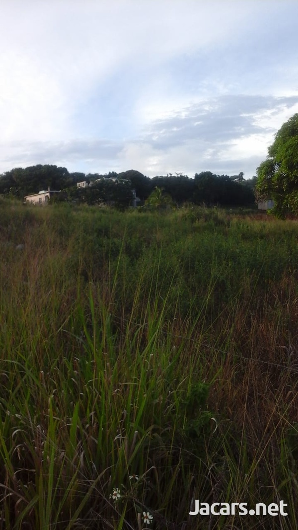 1/2 Acres Of Seeing The Sea-2