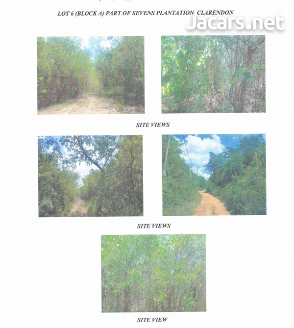 12 Acres of Land Lot 6a Seven Plantation Clarendon-2