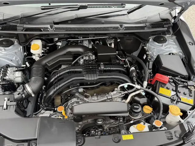 Subaru Impreza 2,0L 2022, Saint James - 13