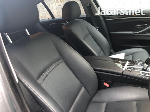 BMW 5-Series 2,0L 2016-6