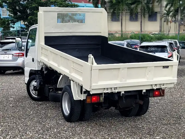 Isuzu Elf Truck 4,8L 2006, Saint Mary - 7