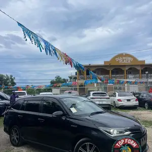 Toyota Fielder