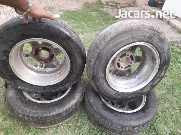 RIMs-1