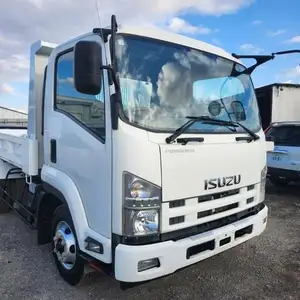 2010 Isuzu Forward Truck, Saint James