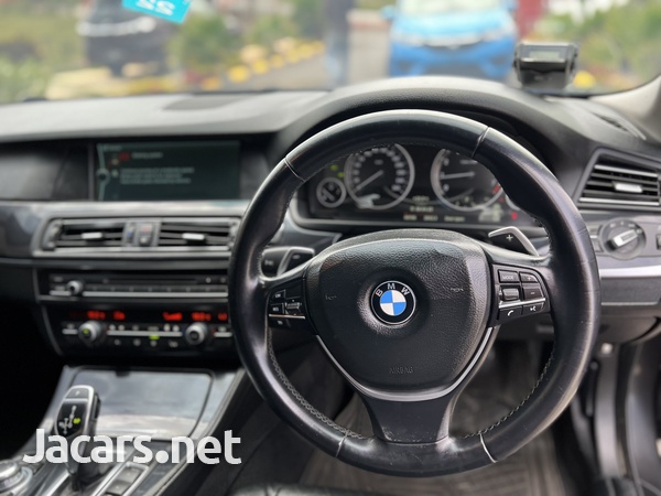 BMW 5-Series 2,0L 2012-4