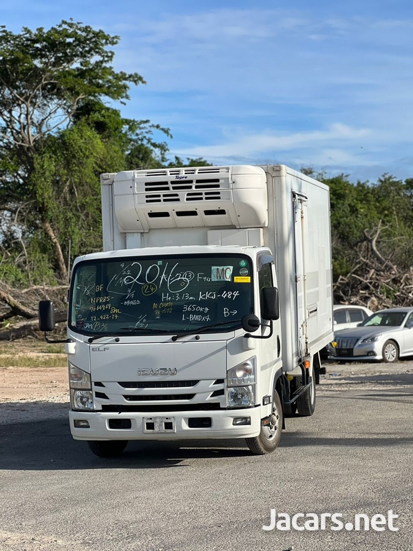 2016 Isuzu elf freezer truck-3