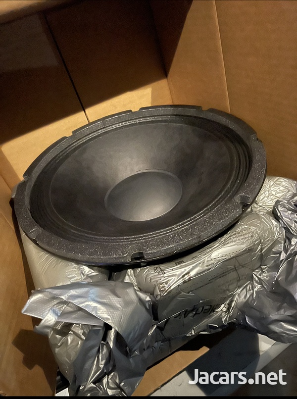 Eminence 12 inch speaker-1