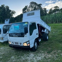 2006 Isuzu Elf Tipper Truck 2006 Isuzu Elf Tipper Truck