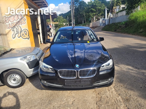 BMW 5-Series 2,0L 2013-1
