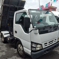 Isuzu Elf Tipper Truck Isuzu Elf Tipper Truck